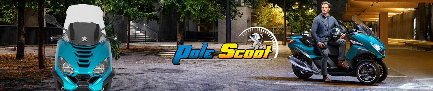 Pole Scoot
